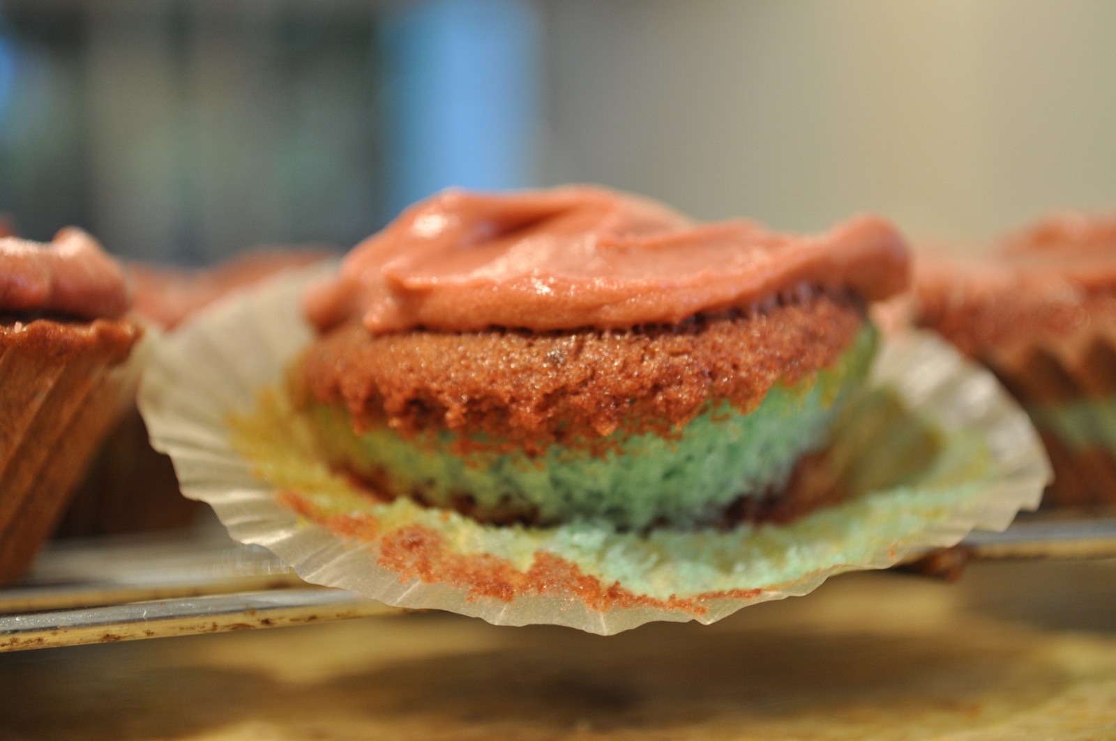 State of Origin double-layer cupcakes