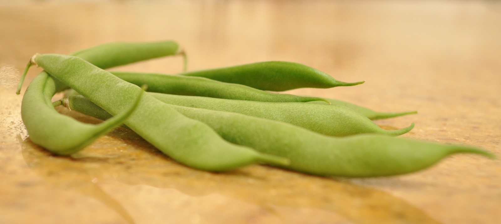 Beans from my garden