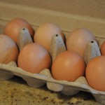 Fresh eggs Fresh eggs