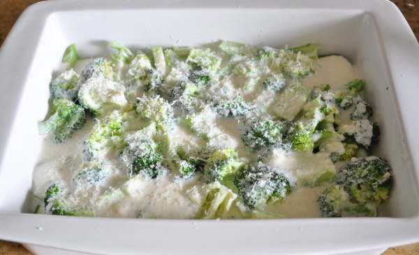Parmesan
