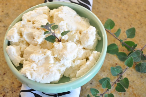 Homemade ricotta