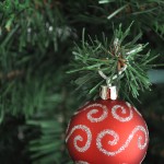 DSC_6494 DSC_6494