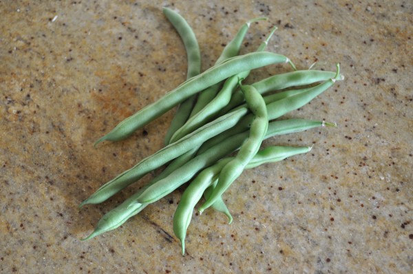 Bean harvest