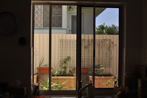 Day 8 - Window (my view from where I create, the food creations anyway)
