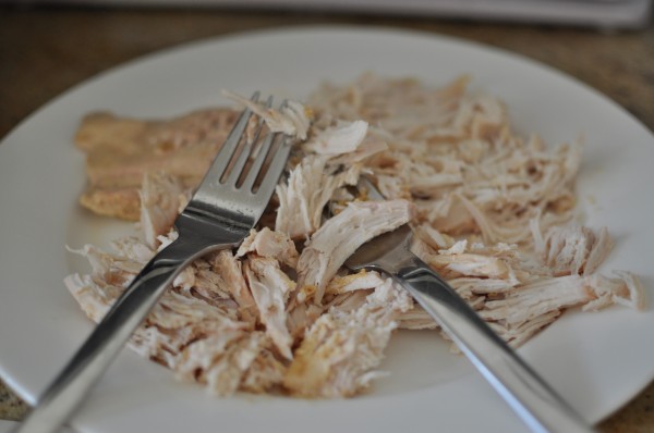 Shredding the chicken