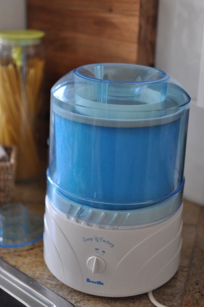 My trusty ice-cream machine