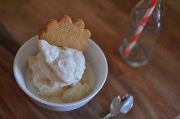 Vanilla gelato