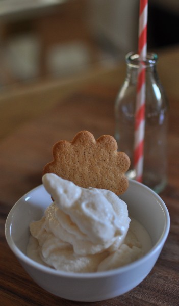 Vanilla gelato