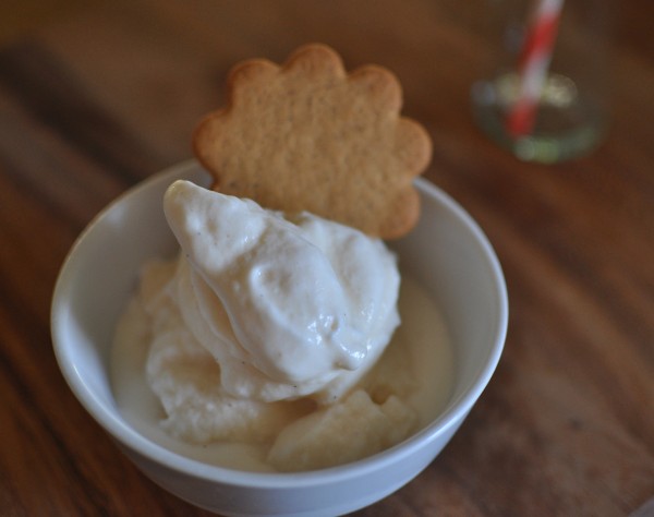 Vanilla gelato