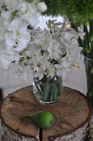 My favourite little flower pic