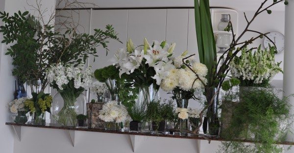 Just some of the amazingly beautiful flowers