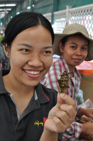 A fried cockroach