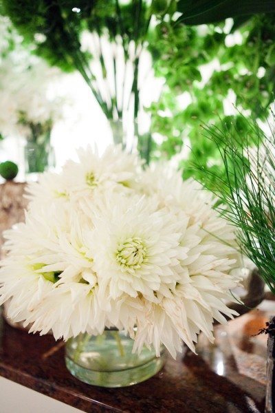 More beautiful flowers
