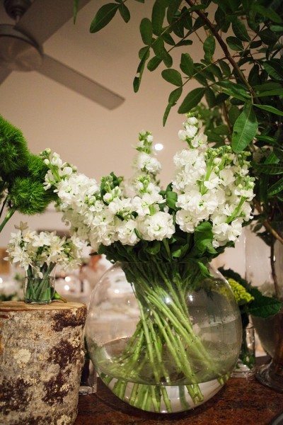 Beautiful flowers