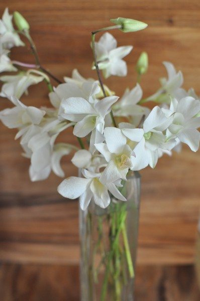 Orchids from our wedding