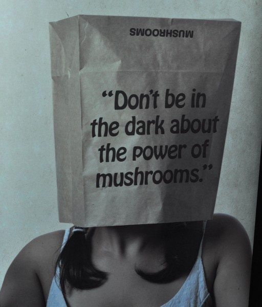 Don't be in the dark about the power of mushrooms