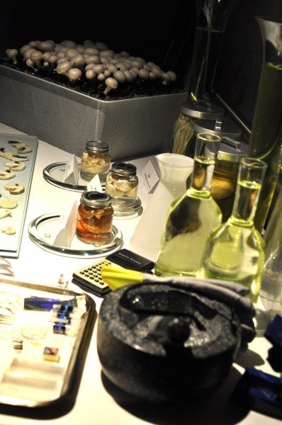 The mushroom lab