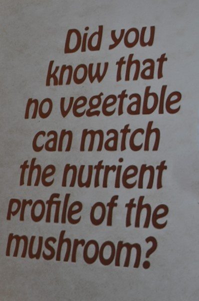 The power of mushrooms