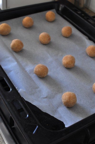 Ready for baking