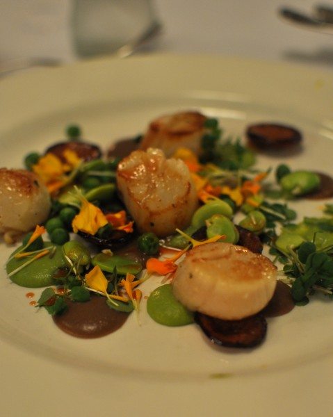 Capesante di bosco - seared scallops with pea puree, broad beans, peas, chorizo and watercress