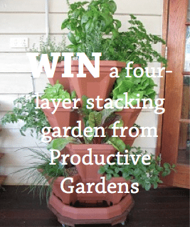Click to enter