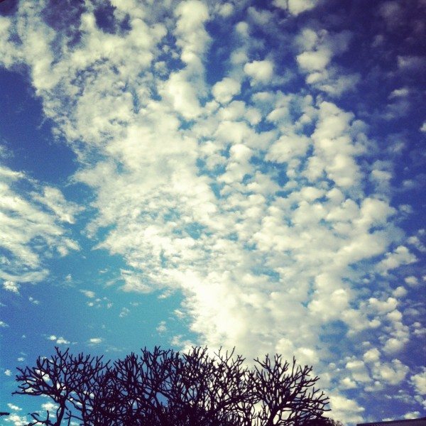 Gorgeous morning sky