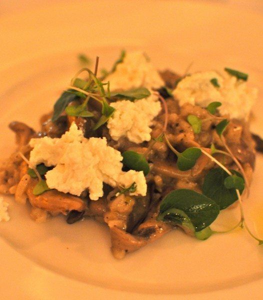 Exotic Mushroom Risotto- Truffle Tapenade, Yarra Valley Marinated Fetta, Oregano 21