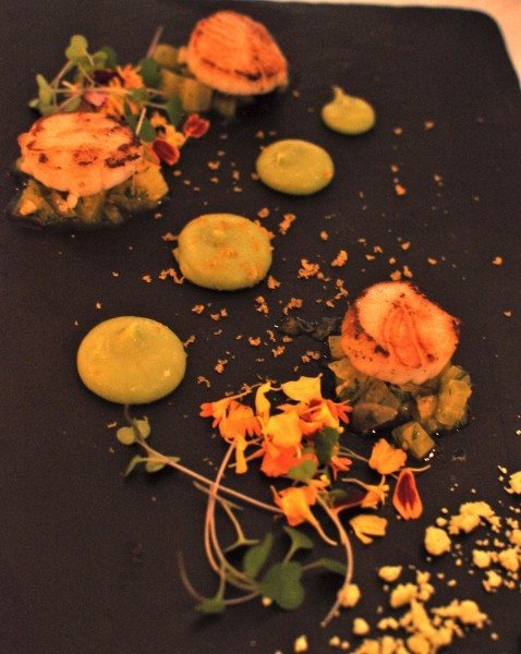 Hervey Bay Scallops Avocado, Saffron Fennel & Bottarga, Maleny Peppers 24