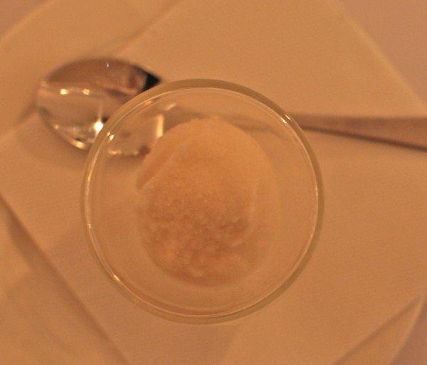 Apple and cinnamon sorbet