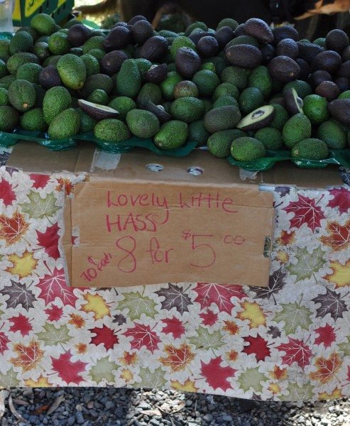 Avos