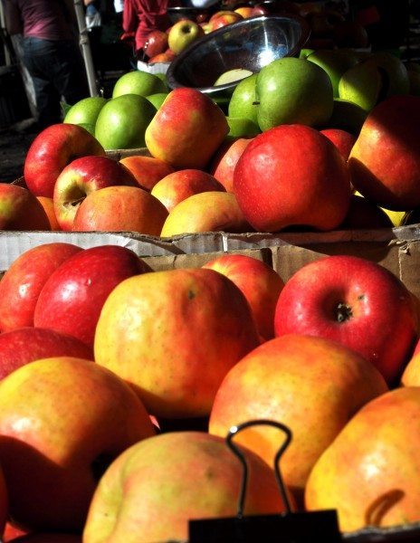 Apples as far as the eye can see