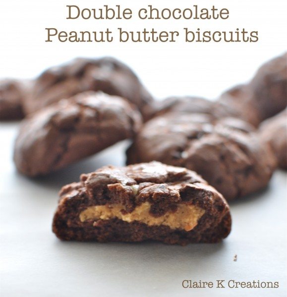 Double chocolate peanut butter biscuits