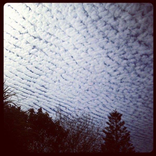 Captivating clouds