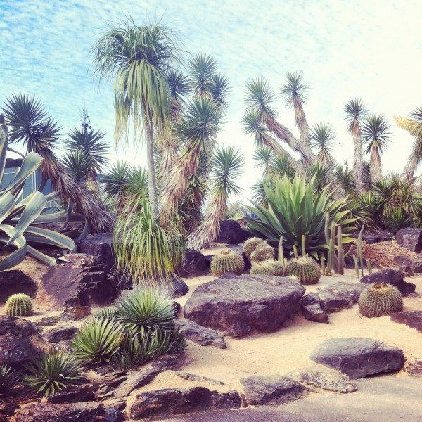 Into the desert