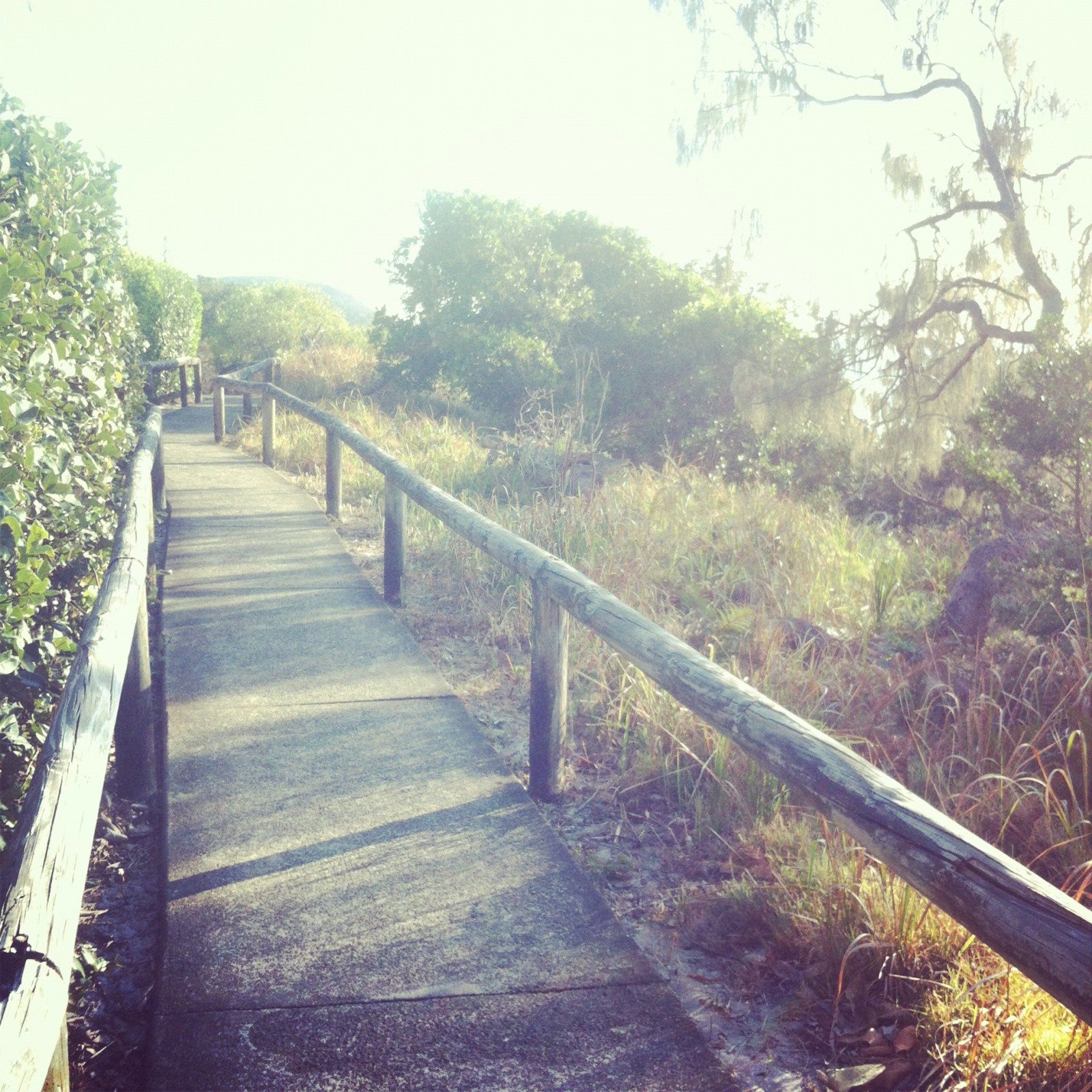 Then a stroll