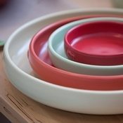 Bison dishes