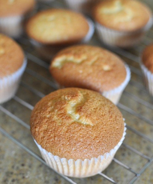 Ready for icing