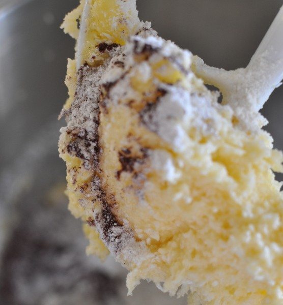Cocoa and coconut