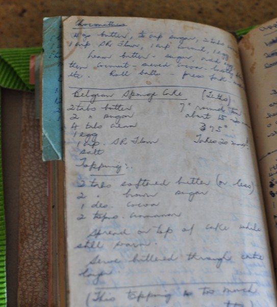 The family recipe book