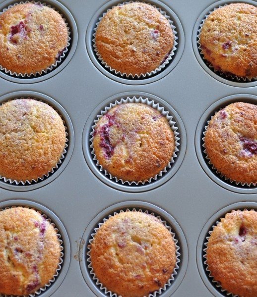 Perfect raspberry cupcakes