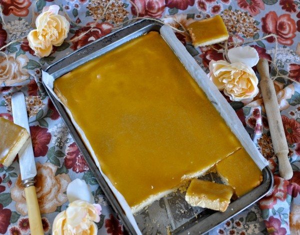 Ginger squares