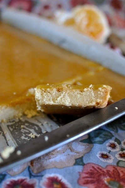 Ginger squares Ginger squares
