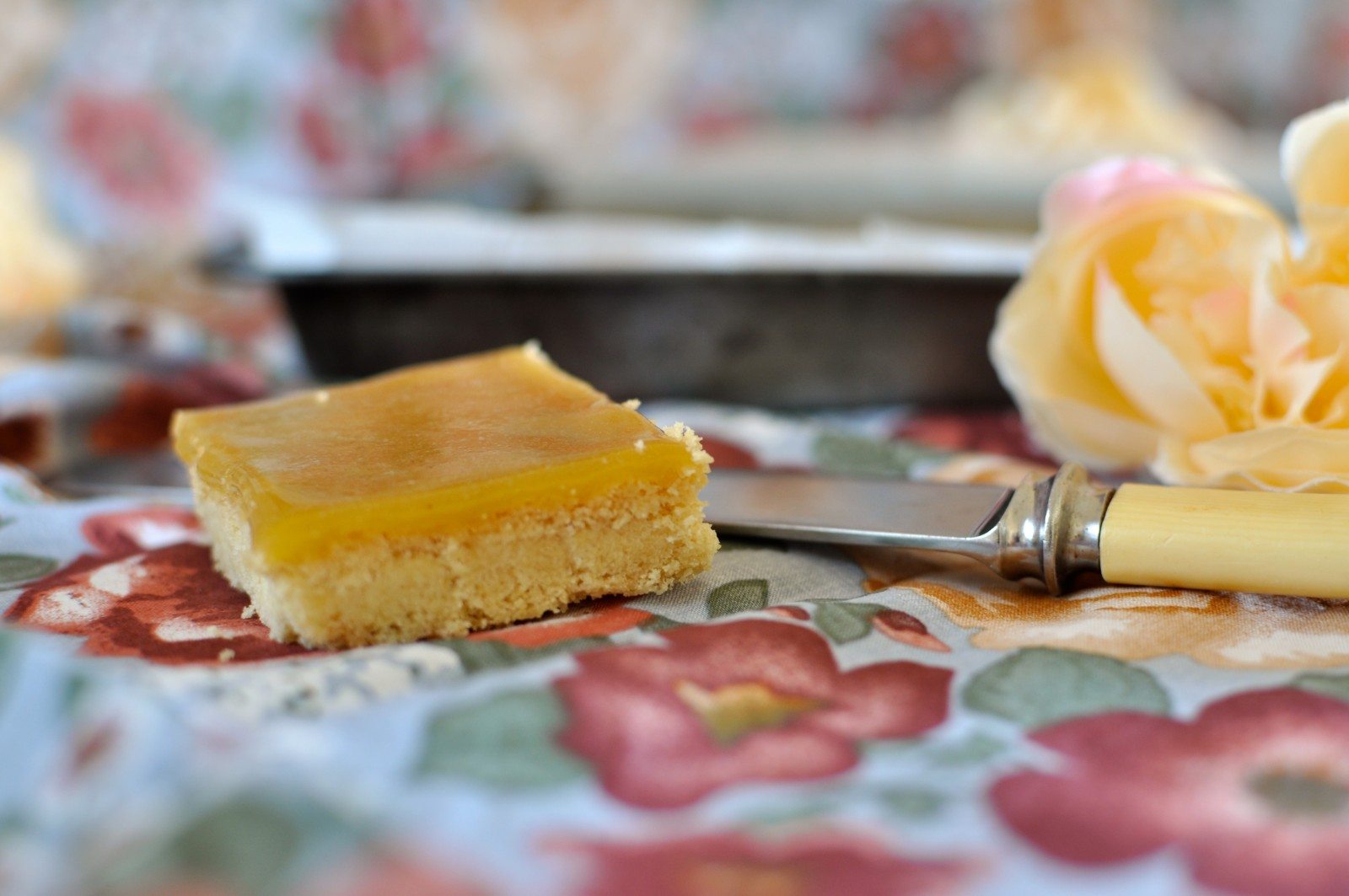 Ginger squares