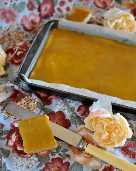 Ginger squares Ginger biscuit squares
