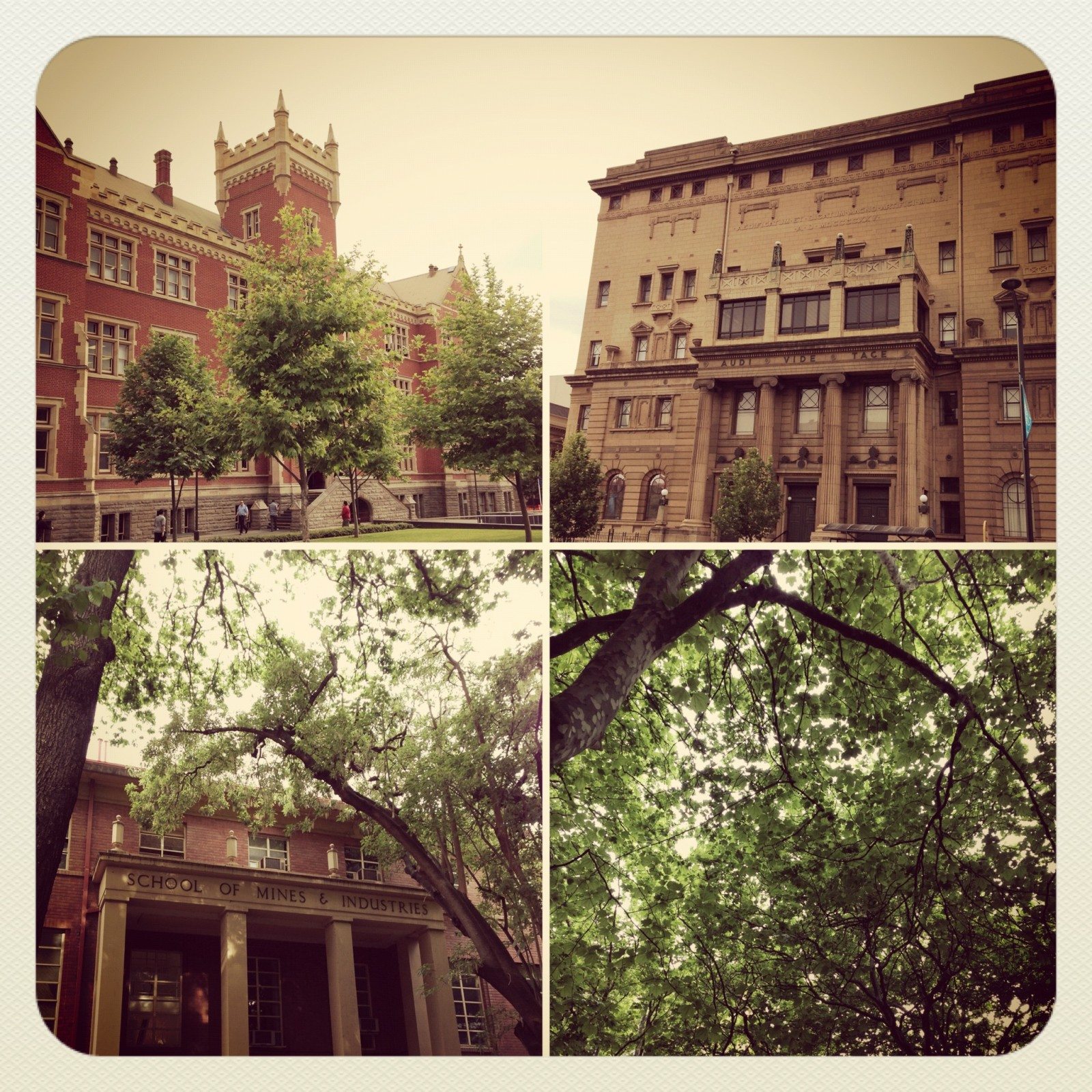 Beautiful old buildings in Adelaide