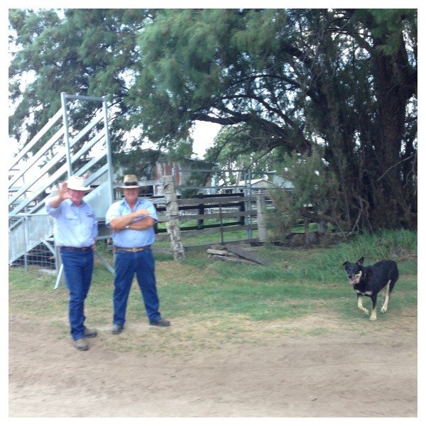 Cya farm, thanks for having us!