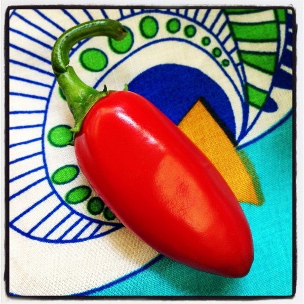 My first baby capsicum of the season