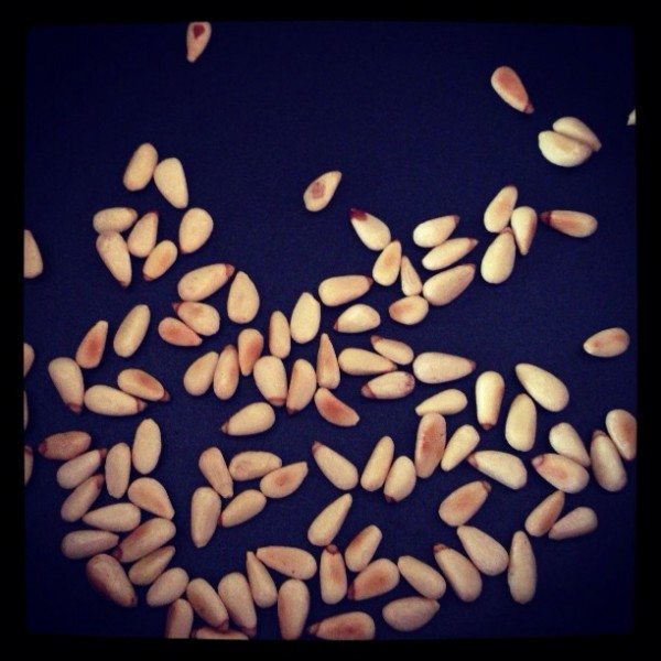 Pine nuts roasting smell so good