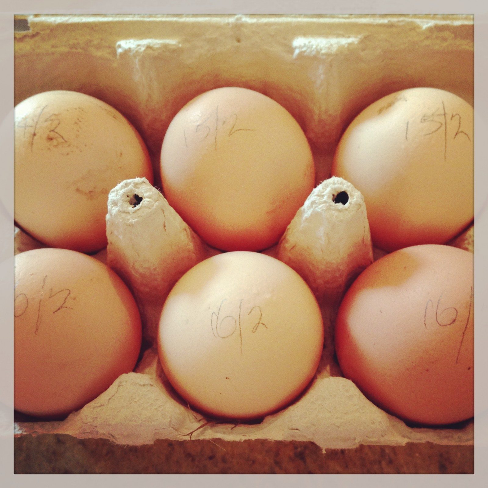 Eggs from my friend's mum's chickens