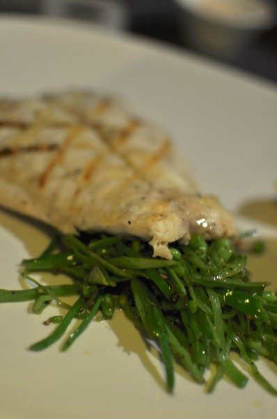 Fresh fish of the day, lemon chive butter, seared shredded snow peas M/P